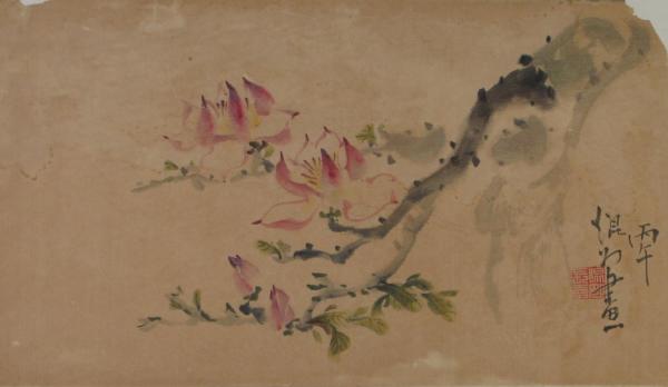 Magnolia Blossoms by Kwan Y. Jung