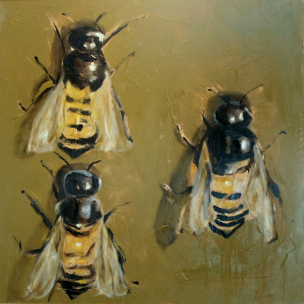 Bees by carylon cooper