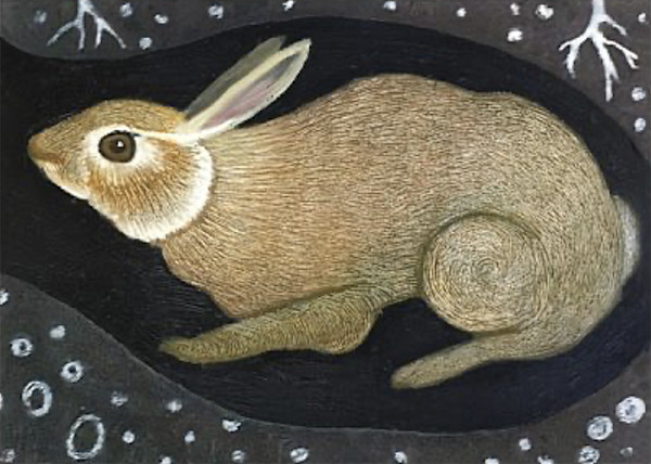 Burrow by Sarah Stone