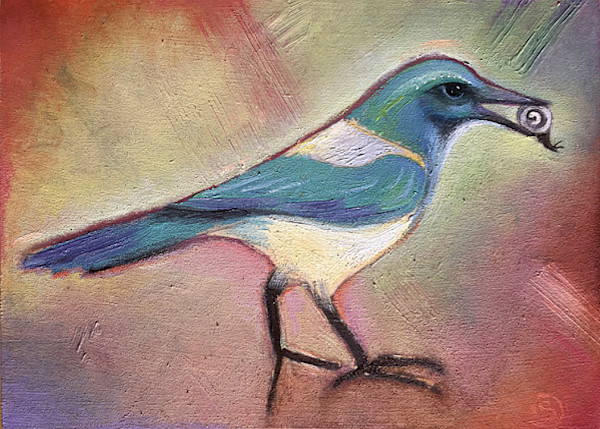 Scrub Jay and Snail by Sarah Stone