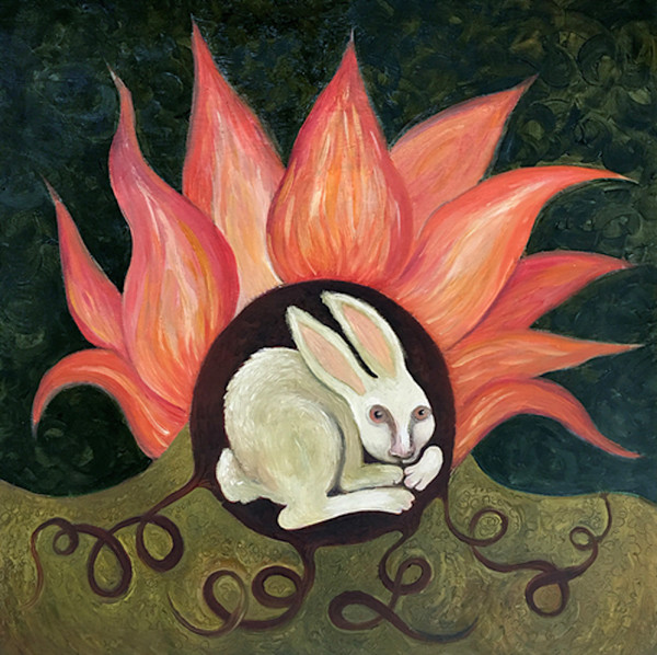 Shelter by Sarah Stone