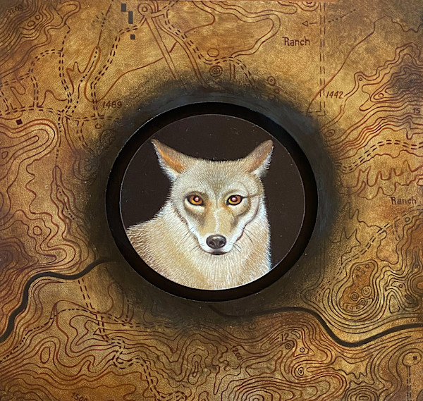 Coyotl by Sarah Stone