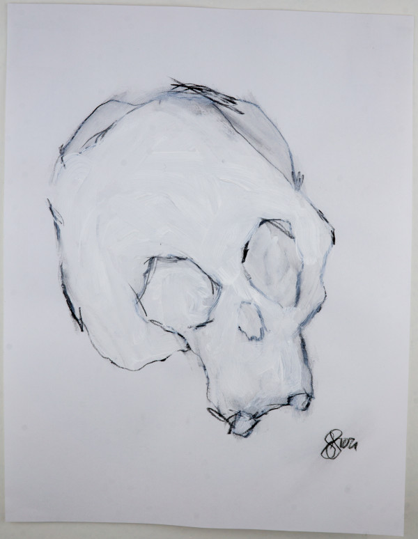 skeleton bones 7