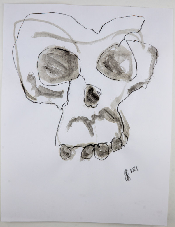 skeleton bones 1