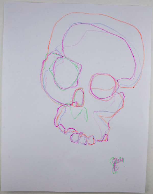 skeleton bones 2