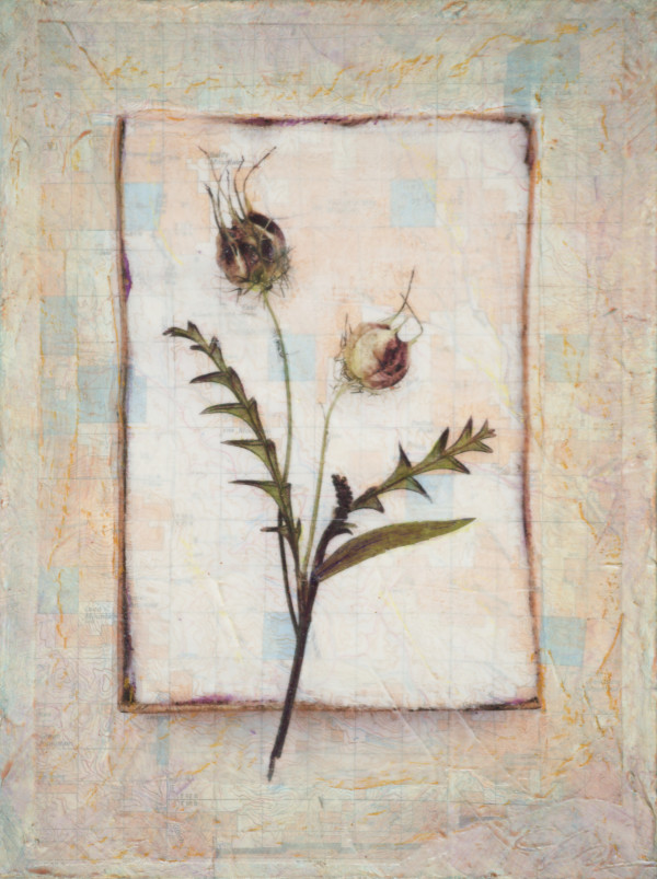 Faded Flowers by Judith Monroe
