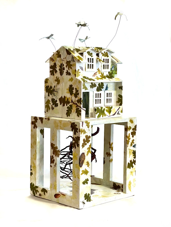 Things We Cannot See by Judith Monroe