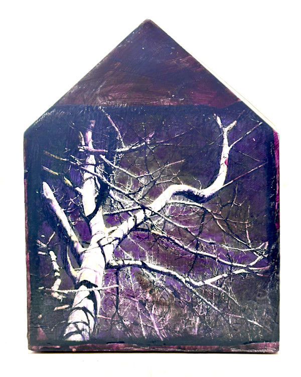 Birdhouse #1 by Judith Monroe