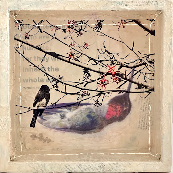 Dissonance: Humility by Judith Monroe