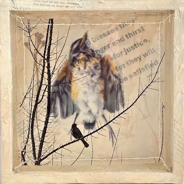 Dissonance: Hunger & Thirst by Judith Monroe