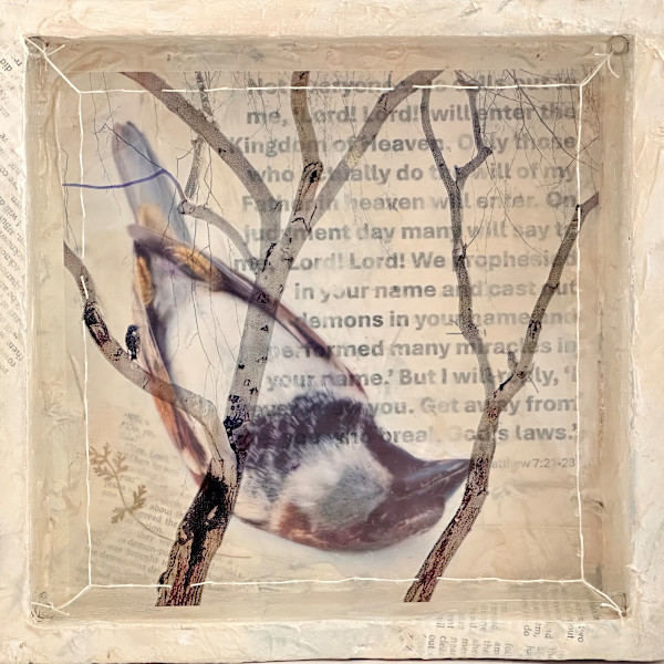 Dissonance: Lord, Lord by Judith Monroe