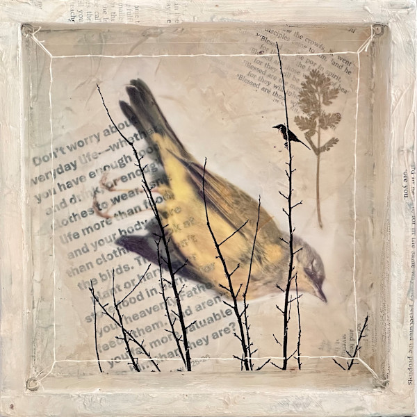 Dissonance: No Worries by Judith Monroe