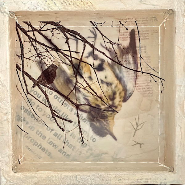 Dissonance: Golden Rule by Judith Monroe