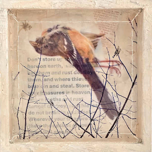 Dissonance: Treasures by Judith Monroe