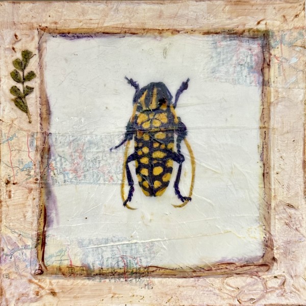 Entomology #4 by Judith Monroe