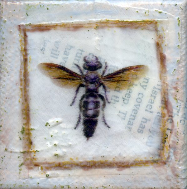 Java Wasp by Judith Monroe