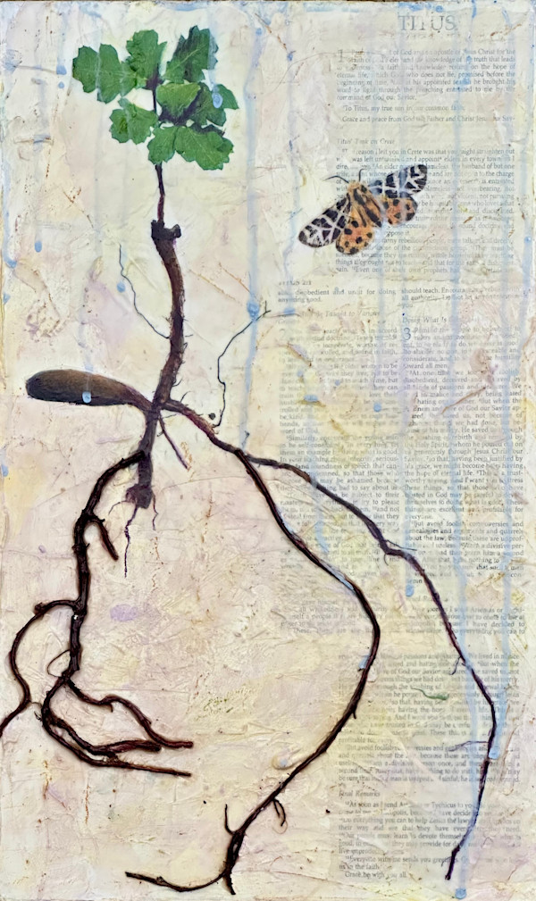 Mercy by Judith Monroe