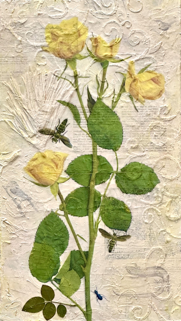 Optimism by Judith Monroe