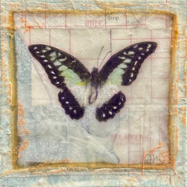 Traveling Companion #7 by Judith Monroe