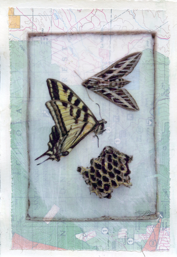 Be Still #11 by Judith Monroe