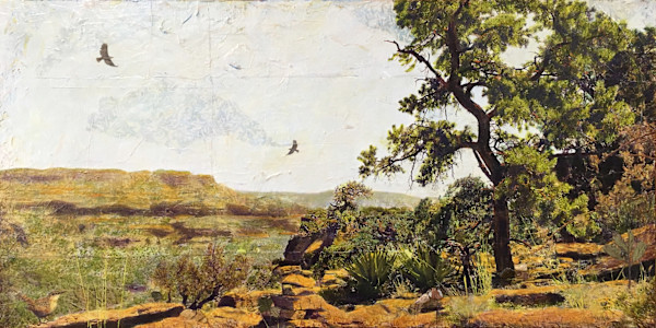 Desert Dance by Judith Monroe, Image 1.