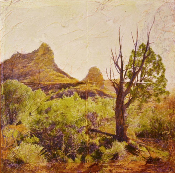 Devil's Kitchen by Judith Monroe