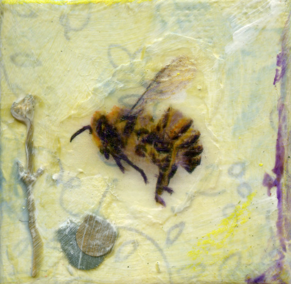 Honey Bee #2 by Judith Monroe
