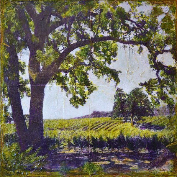 Sanctuary by Judith Monroe