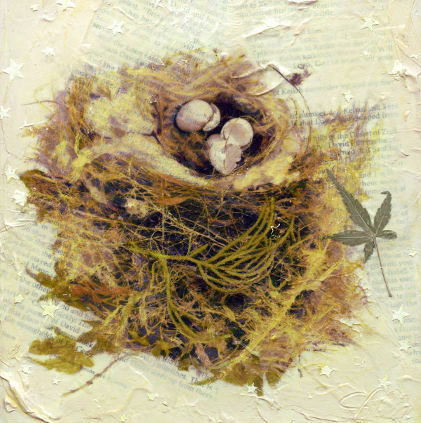 Surrender by Judith Monroe