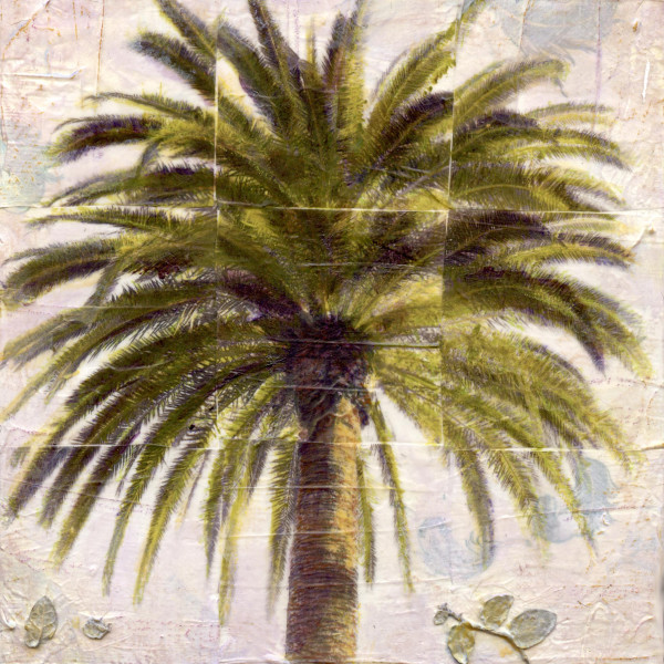 King Palm by Judith Monroe