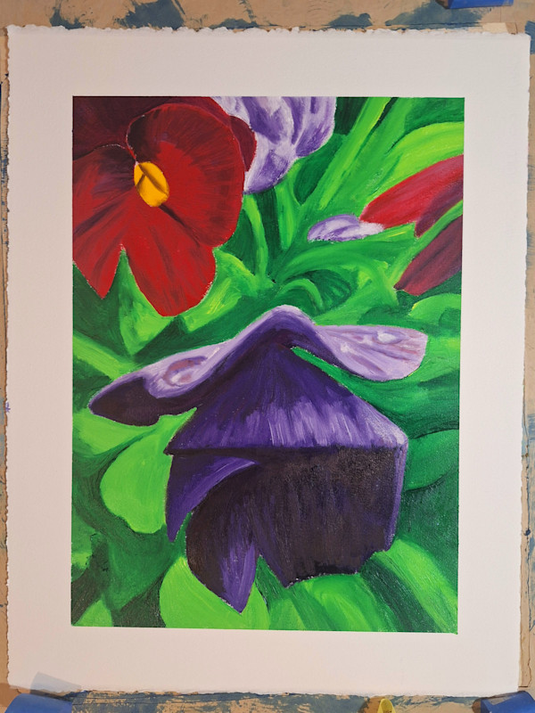 Pansies by Amy Townsend