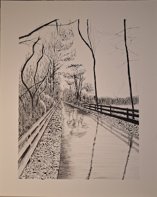 Bike Path by Amy Townsend