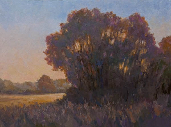 Dusk at the Edge of a Meadow by Lisa Kyle