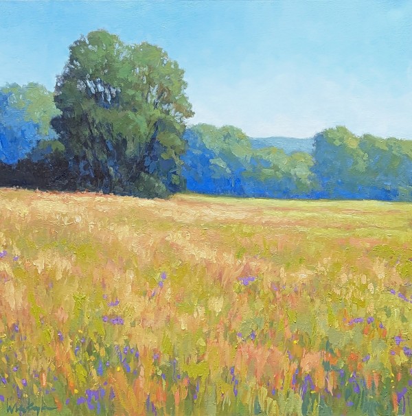 June Meadow by Lisa Kyle