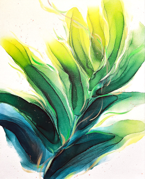 I Am Light by Soo Kim