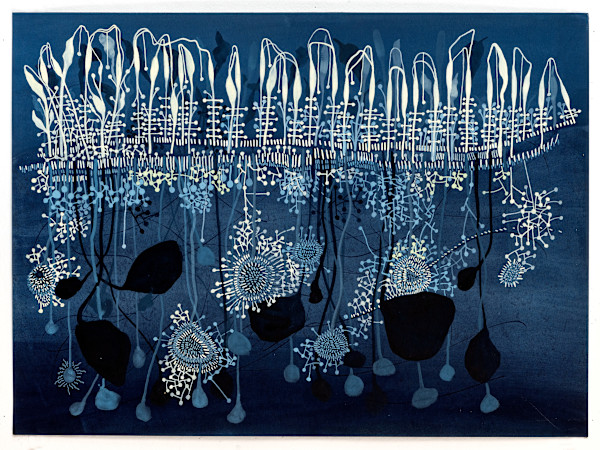 Queen Anne's lace by Abby Goldstein