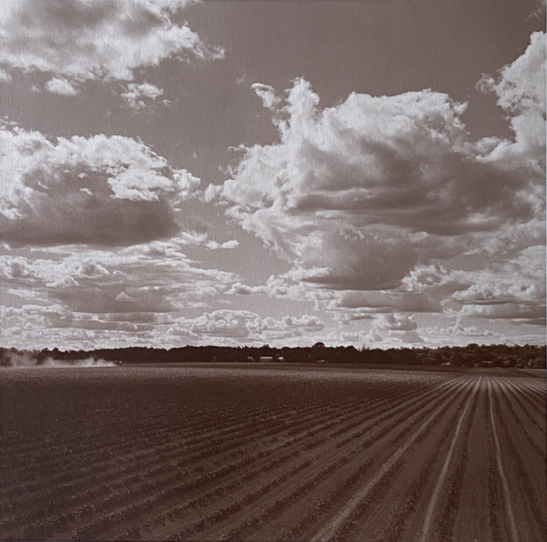 Plowing a Field by Tom Rozakis