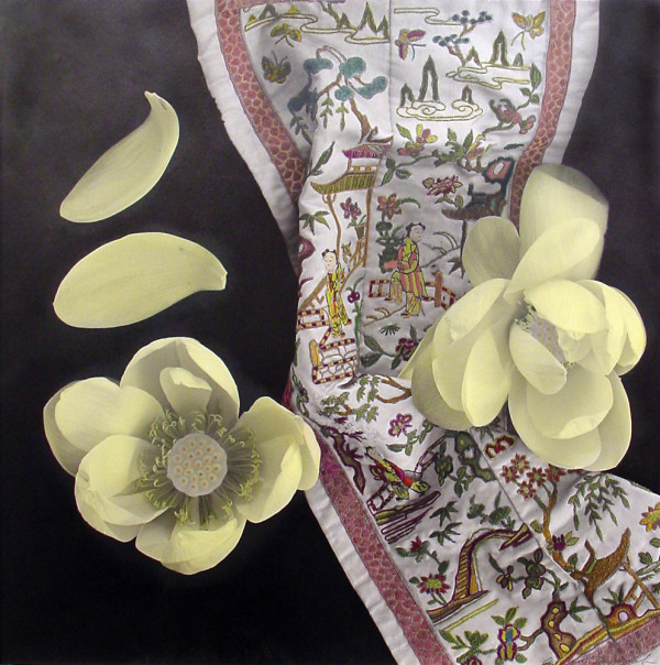 Lotus Blossom by Anna Tomczak