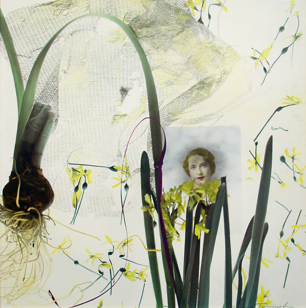 Narcissus I by Anna Tomczak
