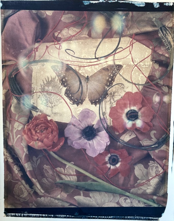 Windflowers I by Anna Tomczak