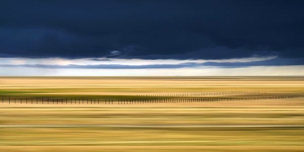 Prairie 51 by Danae Fallier