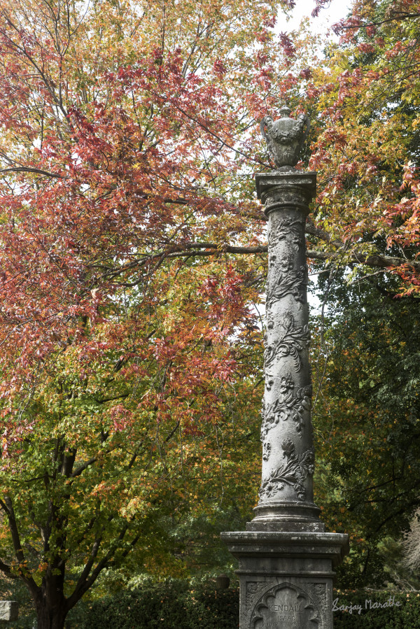 Requiem, Mount Auburn, Cambridge, MA (2021) by Sanjay Marathe