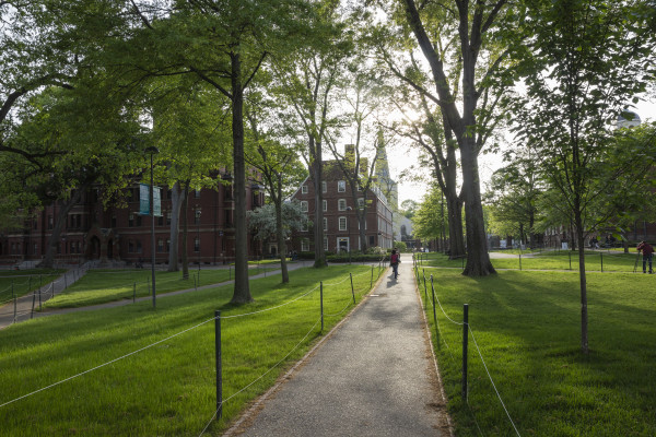 Harvard Yard-1
