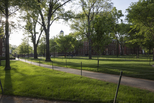 Harvard Yard-2