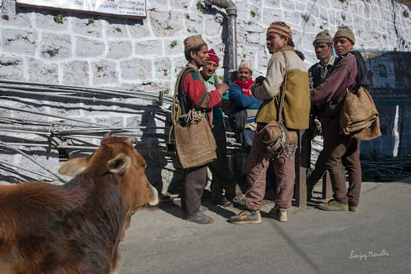 Cow And Porters, Landour Bazar, Mussoorie (2005) by Sanjay Marathe