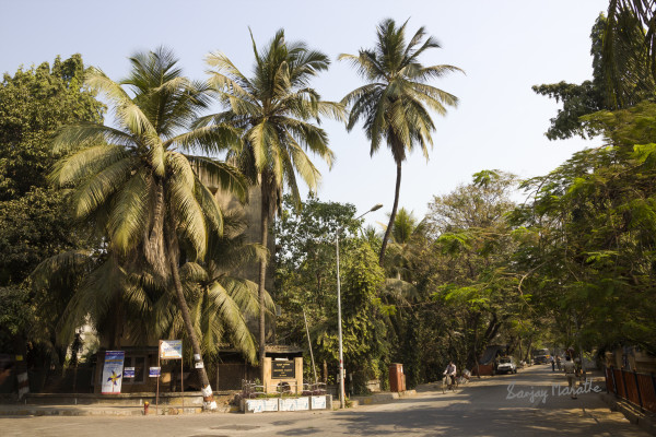 A-2 Building, MIG Colony, Bandra East, Mumbai by Sanjay Marathe