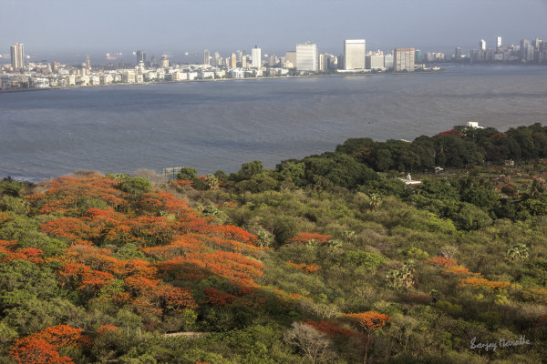 Malabar Hill Vista, Mumbai by Sanjay Marathe