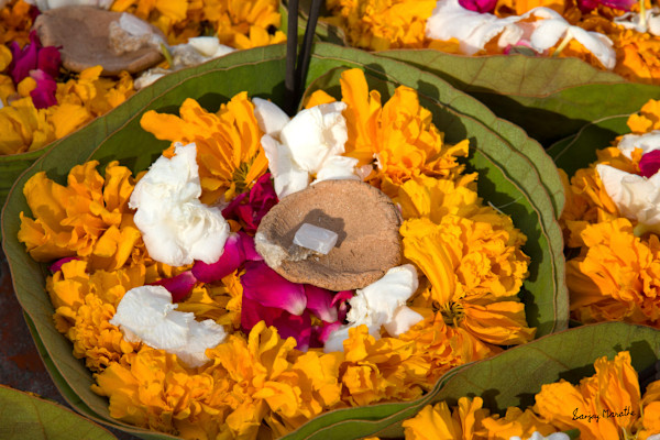 Flowers And Lamp, Haridwar (2013) by Sanjay Marathe