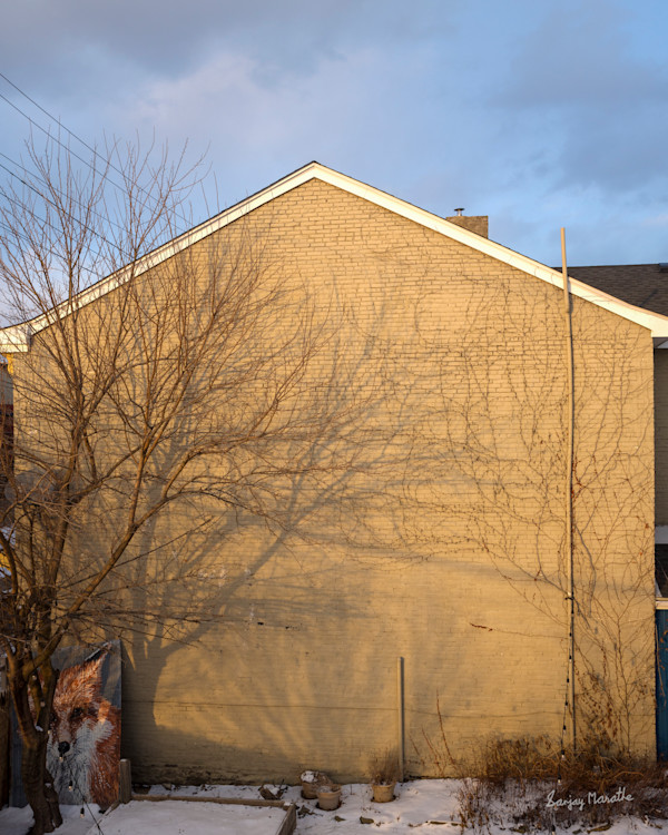 Shadows On A Wall-1 (2025) by Sanjay Marathe