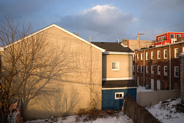 Shadows On Walls (2025) by Sanjay Marathe